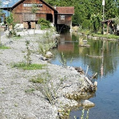 Naturnahe Gestaltung Mühlbach 03.jpeg