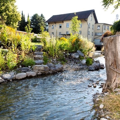 Naturnahe Gestaltung Mühlbach 04.jpeg