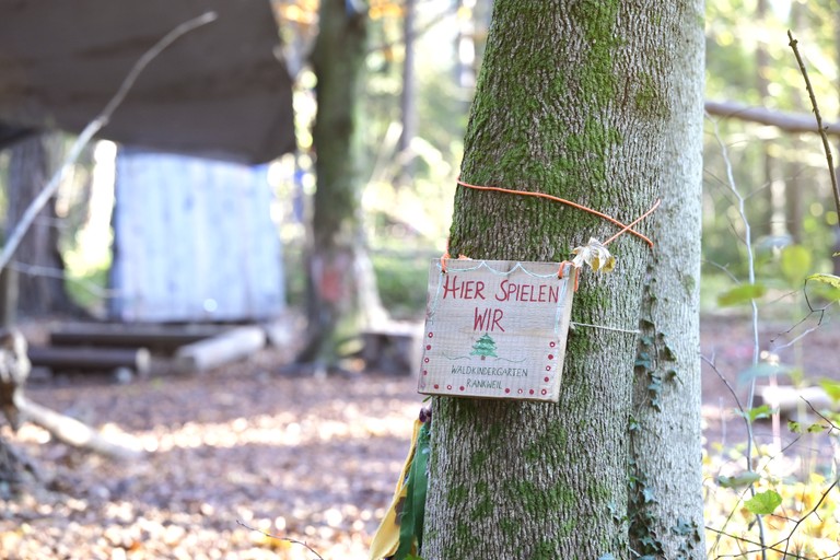 Symbolbild Pädagogische Fachkraft für den Waldkindergarten © Marktgemeinde Rankweil
