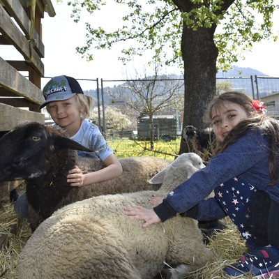 Großes Interesse am Osterferienprogramm