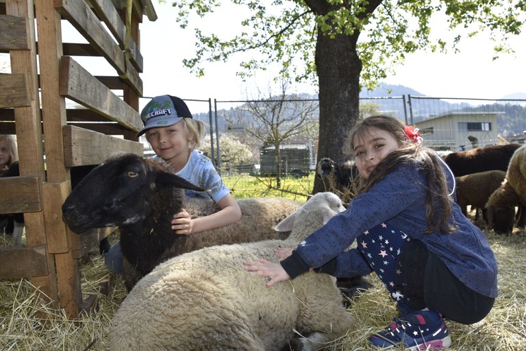 Beim „Bur Pur“ in Röthis könnte das Bauernhofleben mit allen Sinnen erlebt werden © Marktgemeinde Rankweil