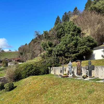 Heckenpflege am Friedhof Röthis