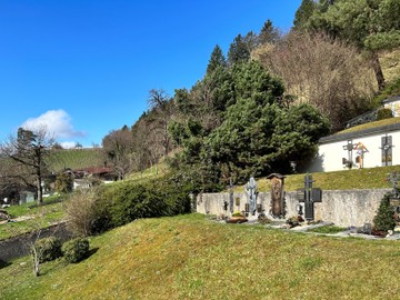 Heckenpflege am Friedhof Röthis
