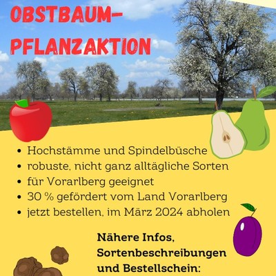 Vorarlberger Obstbaumpflanzaktion 2023-2024