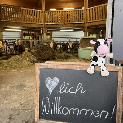 Besuch beim Bauernhof Ebenhoch in Röthis