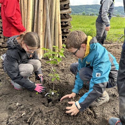 Wir pflanzen Bäume