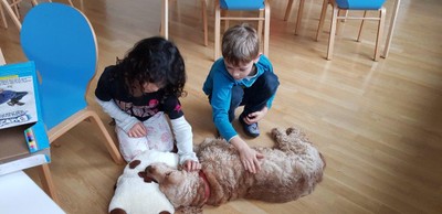 Handyfotos 19.01.2018 040.jpg