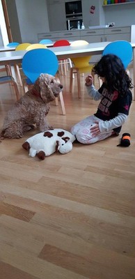 Handyfotos 19.01.2018 048.jpg