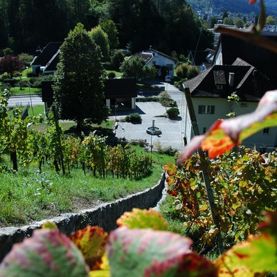 Herbst in Röthis