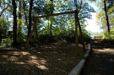 DSC_0503.JPG