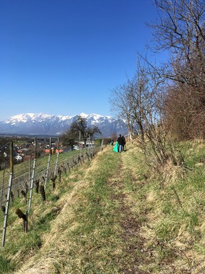 IMG_1063.JPG
