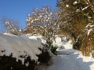 DSC08037.JPG