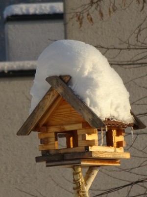 DSC08101.JPG