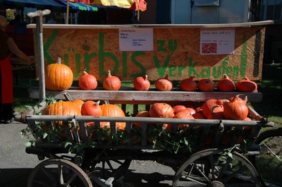 DSC_0704.JPG