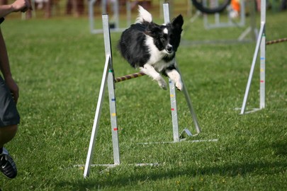 Agility