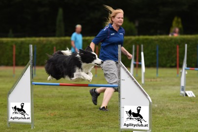 Vorderland Agility Turnier am 10./11. Juni in Klaus / Sportplatz