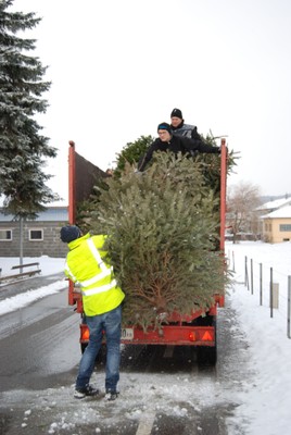 2016-FZR Christbaum002.jpg