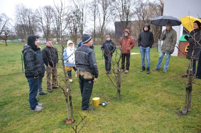 Baumschnittkurs 2016_12.JPG