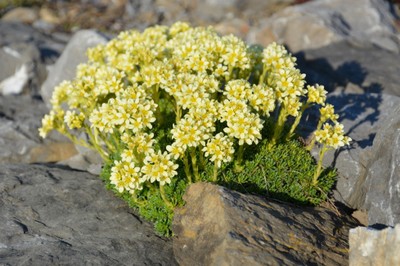 DSC_7360.JPG
