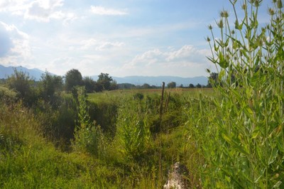 DSC_5062.JPG