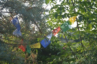 DSC_5068.JPG