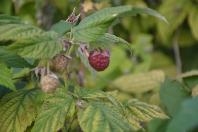 DSC_5074.JPG