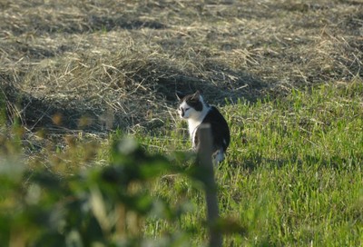 DSC_5081.JPG