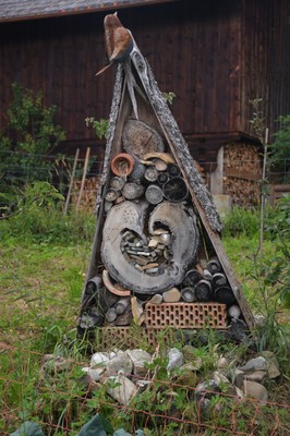 DSC_0681.JPG