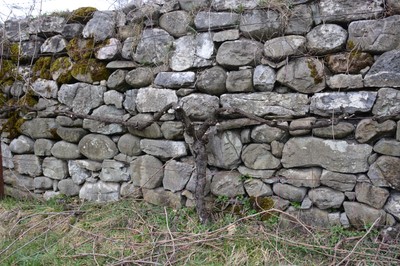 DSC_9608.JPG