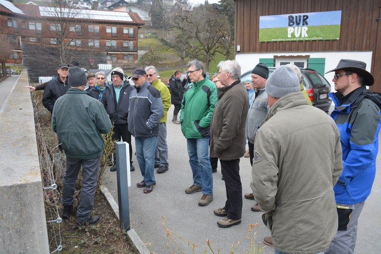 Rebschnittkurs OGV Sulz-Röthis
