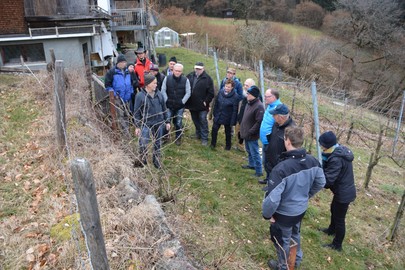 Rebenschnittkurs mit Franz Nachbaur am Samstag, den 3.3.18 in Röthis