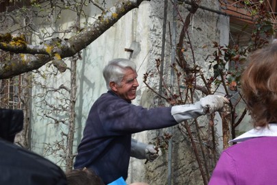 Rosenschnittkurs am Sa. 2. April 2016 beim Freihof in Sulz