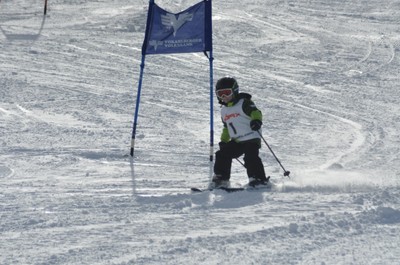 DSC_0007.JPG