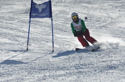 DSC_0427.JPG
