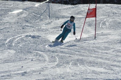 DSC_0445.JPG