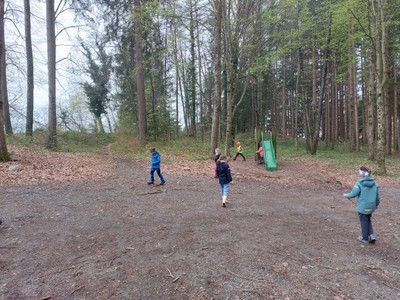 20230419_085312.jpg