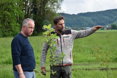 Baumpfanzaktion mit VS Röthis_Fotos, Gemeinde Röthis Michael Schnetzer (10).JPG