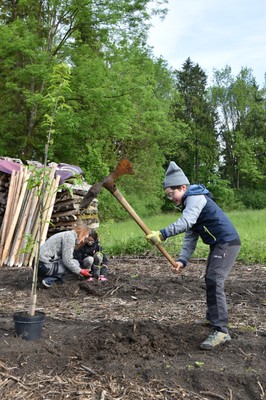 Baumpfanzaktion mit VS Röthis_Fotos, Gemeinde Röthis Michael Schnetzer (9).JPG