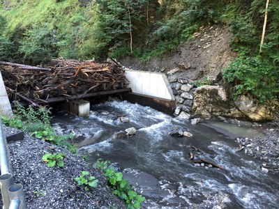 Hochwasser_Roman Kopf.jpg