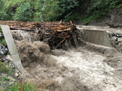 Hochwasser_Roman Kopf3.jpg