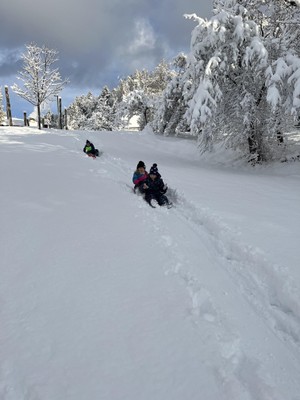 IMG_0960.JPG