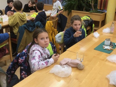 IMG_7392.jpg