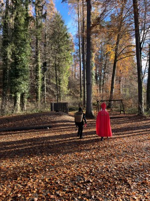 Nikolaus im Wald (3).JPG