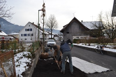 Pflanzung Silberlinde (1).JPG