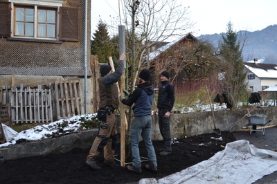 Pflanzung Silberlinde (4).JPG