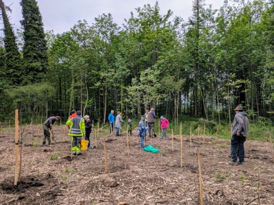 Am 9. Mai hieß es im Auwald: „Ran an die Spaten!“