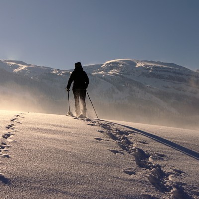 SICHERHEITSTIPP SICHERES VORARLBERG