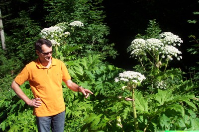 SICHERHEITSTIPP SICHERES VORARLBERG