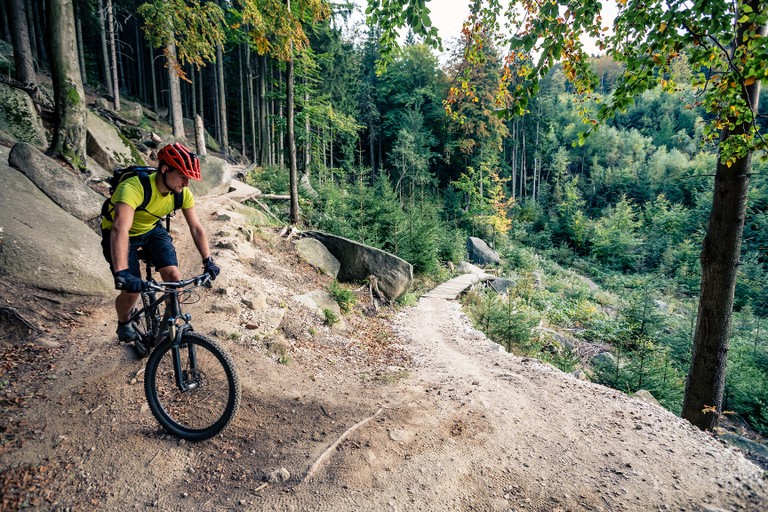 Mountainbike©Sicheres Vorarlberg