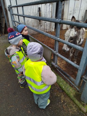 Ein Besuch auf dem Bauernhof